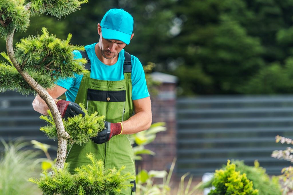 Lawn Maintenance Mastery – Weeding, Mowing, Edging & Mulching Essentials