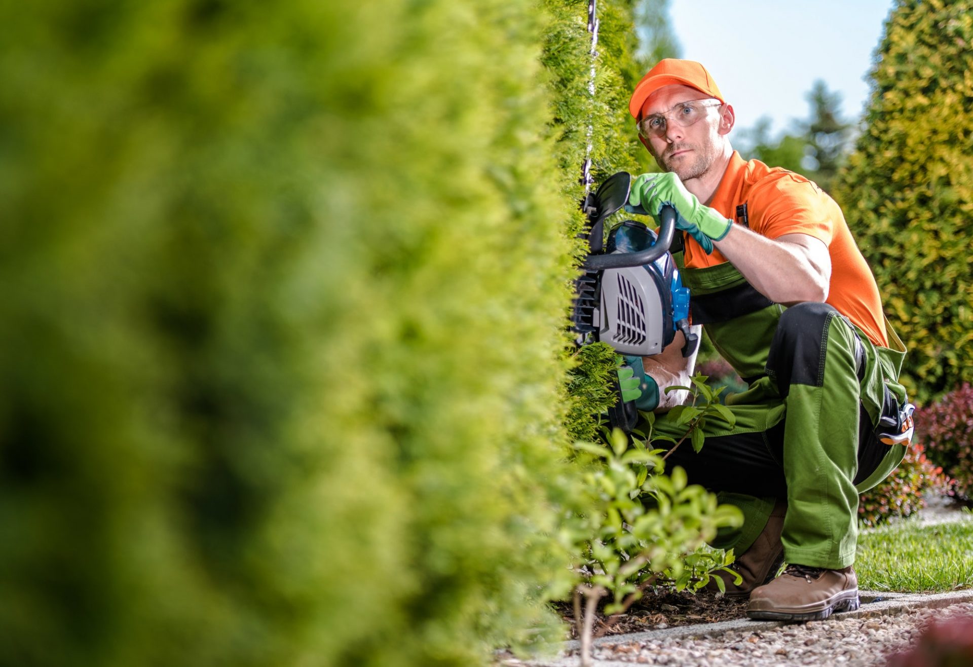 Mastering Hedge Maintenance – Shaping Green Boundaries with Precision